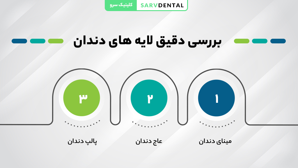 لایه های مختلف دندان شامل مینای دندان، عاج و پالپ